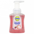 Dettol Foam Hand Wash Pump 250mL