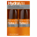 Hydralyte Ice Blocks Lemonade 16 pack